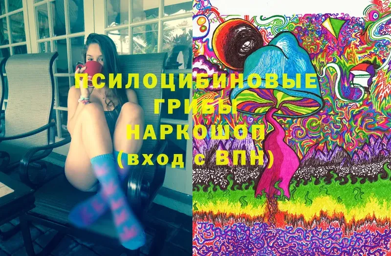 Псилоцибиновые грибы MAGIC MUSHROOMS  Богданович 